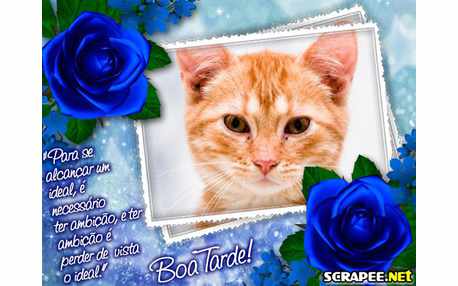 Moldura - Tenha Ambicao Nesta Tarde