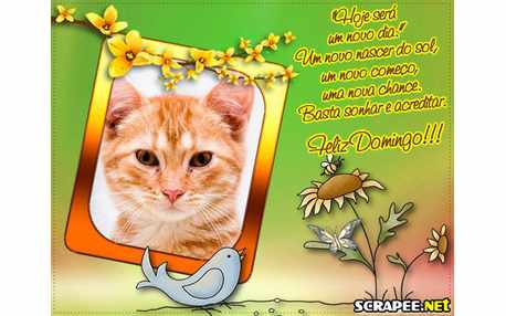 Moldura - Nova Chance