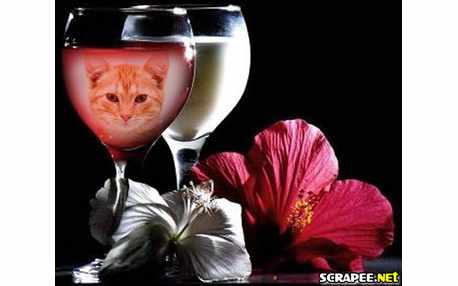 Moldura - Vinho Rose