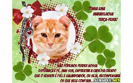 Moldura - Nao Perca A Esperanca Nesta Terca Feira