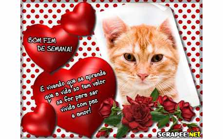 Moldura - Vivendo Que Se Aprende