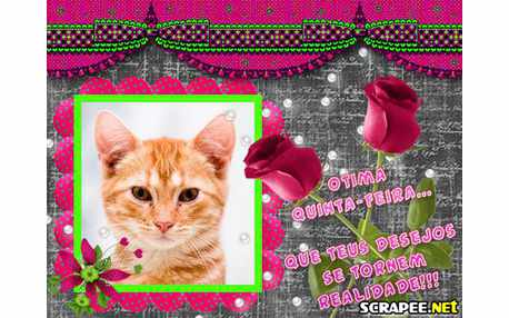 Moldura - Sonhos Realizados