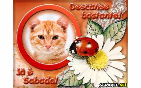 Moldura - Chegou O Sabado