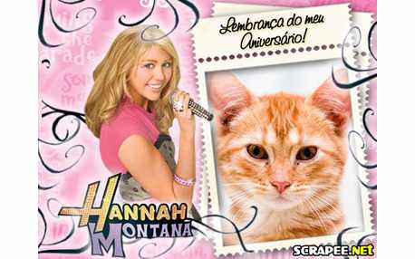 Moldura - Lembranca De Aniversario Da Hannah Montana