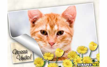 Moldura - Lembrancinha De Casamento Com Foto