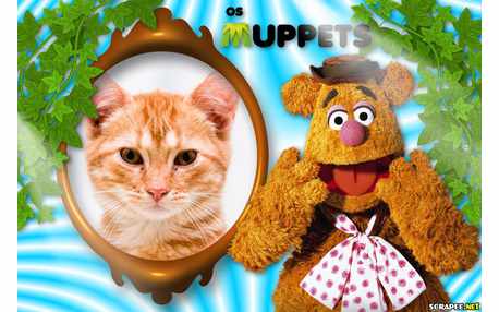 Moldura - Urso Fuzzie Do Filme Os Muppets