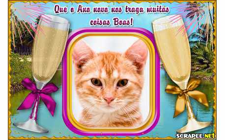 Moldura - Champagne Para 2012