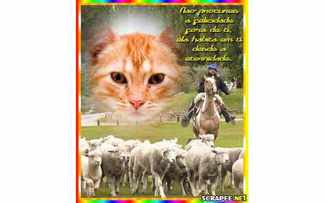 Moldura - Moldura Com Mensagem De Felicidade