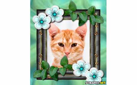 Moldura - Borda Com Flores