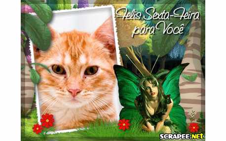 Moldura - Fada Sexta Feira