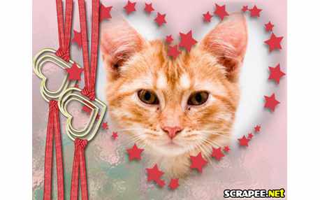 Moldura - Coracao De Estrelas