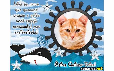 Moldura - Marinheirinho Quinta Feira