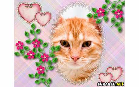 Moldura - Minusculas Flores