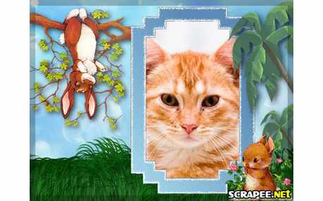 Moldura - Coelhinhos