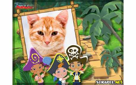 Moldura - Jake E Os Piratas Da Terra Do Nunca