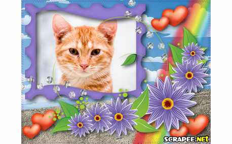 Moldura - Flor Lilas E Arco Iris