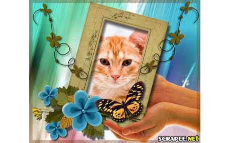 Moldura - Flor E Porta Retrato