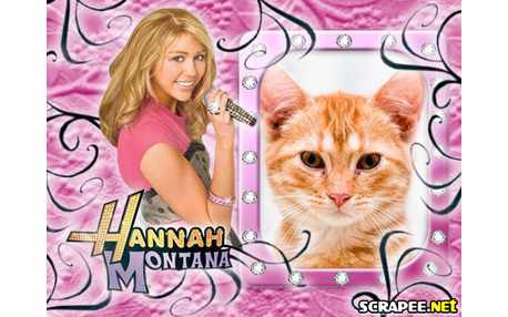 Moldura - Hannah Montana