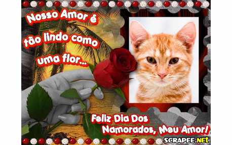 Moldura - Amor Lindo Como Uma Flor