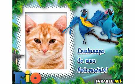 Moldura - Lembrancinha Do Filme Rio