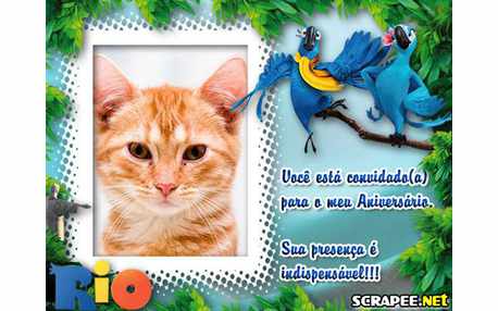 Moldura - Convite Do Filme Rio