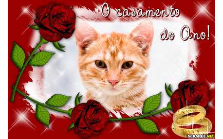 Moldura - Casamento Do Ano