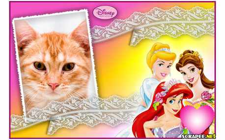 Moldura - Princesas Disney