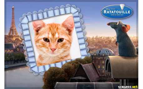 Moldura - Ratatouille