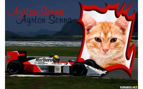 Moldura - Carro De Ayrton Senna