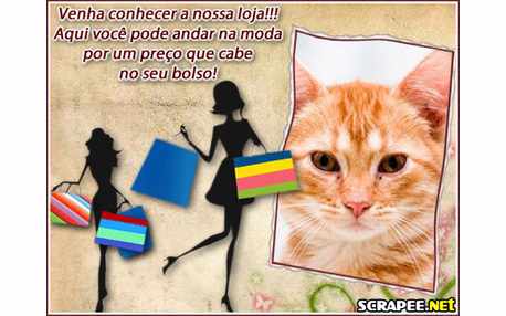 Moldura - Panfleto De Divulgacao Para Lojas