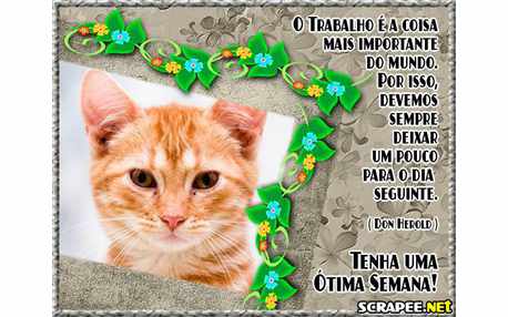 Moldura - Boa Semana De Trabalho