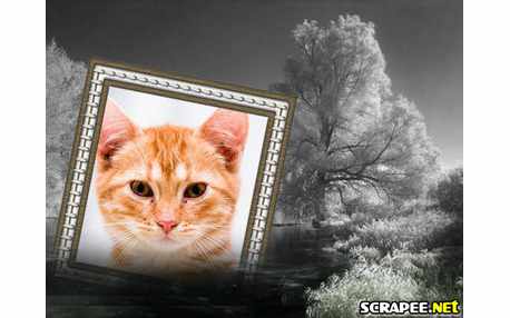 Moldura - Paisagem Em Preto E Branco