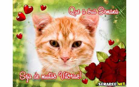 Moldura - Semana Vitoriosa