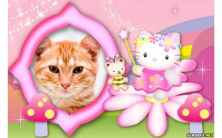 Moldura - Hello Kitty Baby