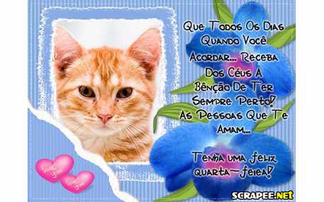 Moldura - Acorde Feliz E Quarta Feira