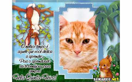 Moldura - Melhor Quinta Feira