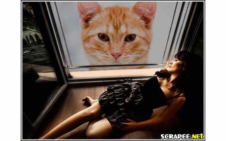 Moldura - Vista Da Janela