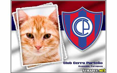 Moldura - Club Cerro Porteo