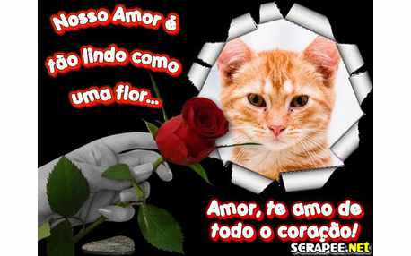 Moldura - Amor Lindo Como Uma Flor
