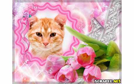 Moldura - Botoes Lindos