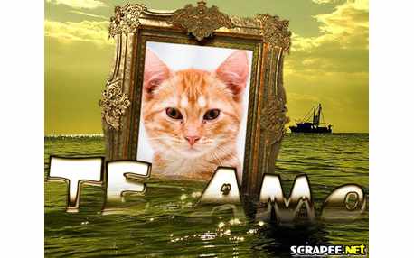 Moldura - Te Amo Amor