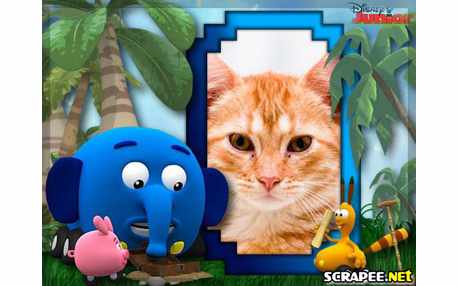 Moldura - Desenho Selva Sobre Rodas Da Disney Junior