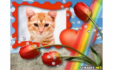 Moldura - Arco Iris Na Flor