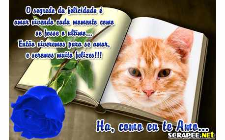 Moldura - Vivemos Para Amar