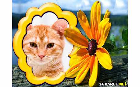 Moldura - Flor Linda Amrela