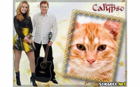 Moldura - Banda Calypso