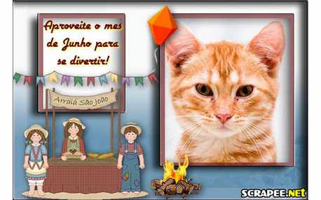 Moldura - Arraia De Sao Joao