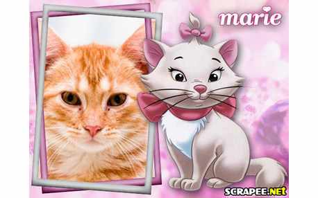 Moldura - Gata Marie