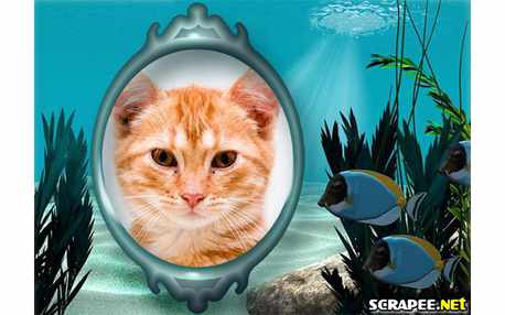 Moldura - Pexes No Fundo Do Mar