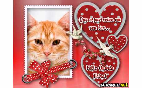 Moldura - Quarta Feira Perfeita